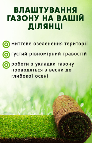 Влаштування газону